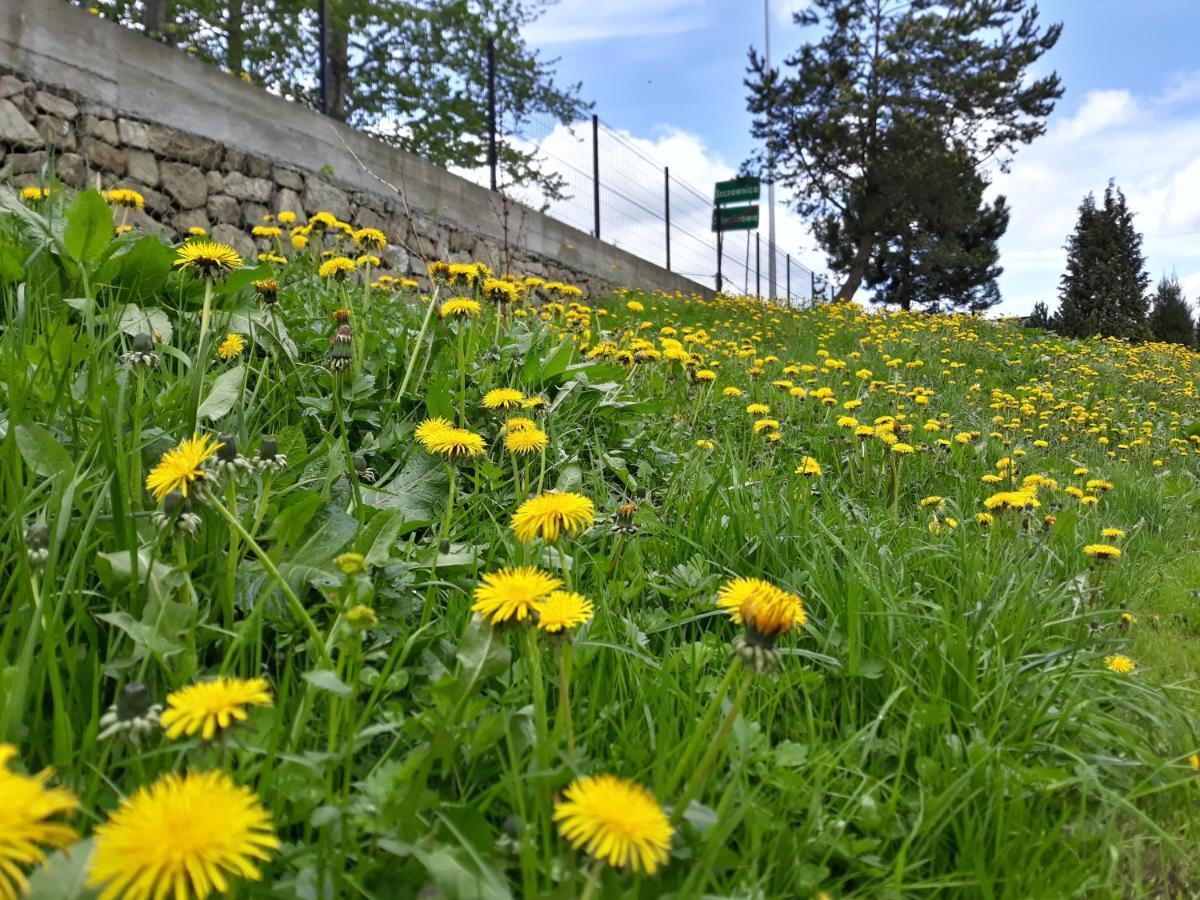 Pokoje Goscinne Pod Cuprona Szczawnica Kültér fotó